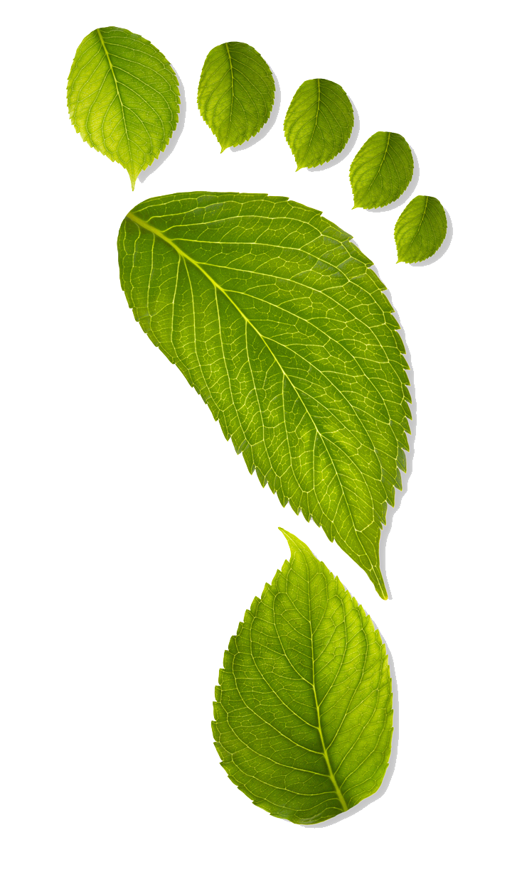 green leaves in human footprint shape